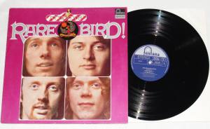 RARE BIRD Attention! (Vinyl)
