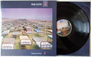 PINK FLOYD A Momentary Lapse Of Reason (Vinyl)